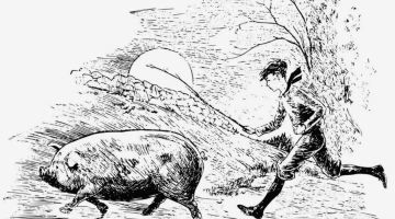 Crypto “pig butchering” scam. A review by a Bitcoin mixer: mixero.money